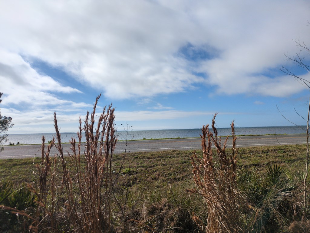 327686 Photo 2
