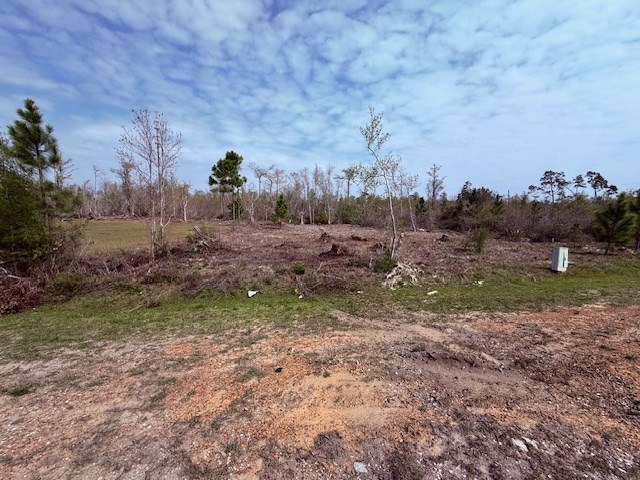 327822 Photo 2