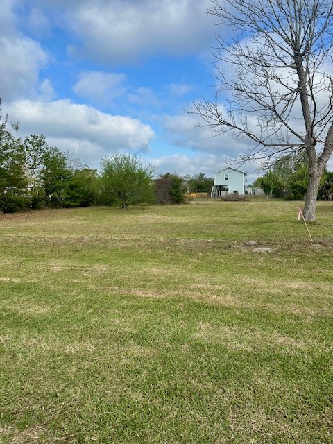 327851 Photo 2