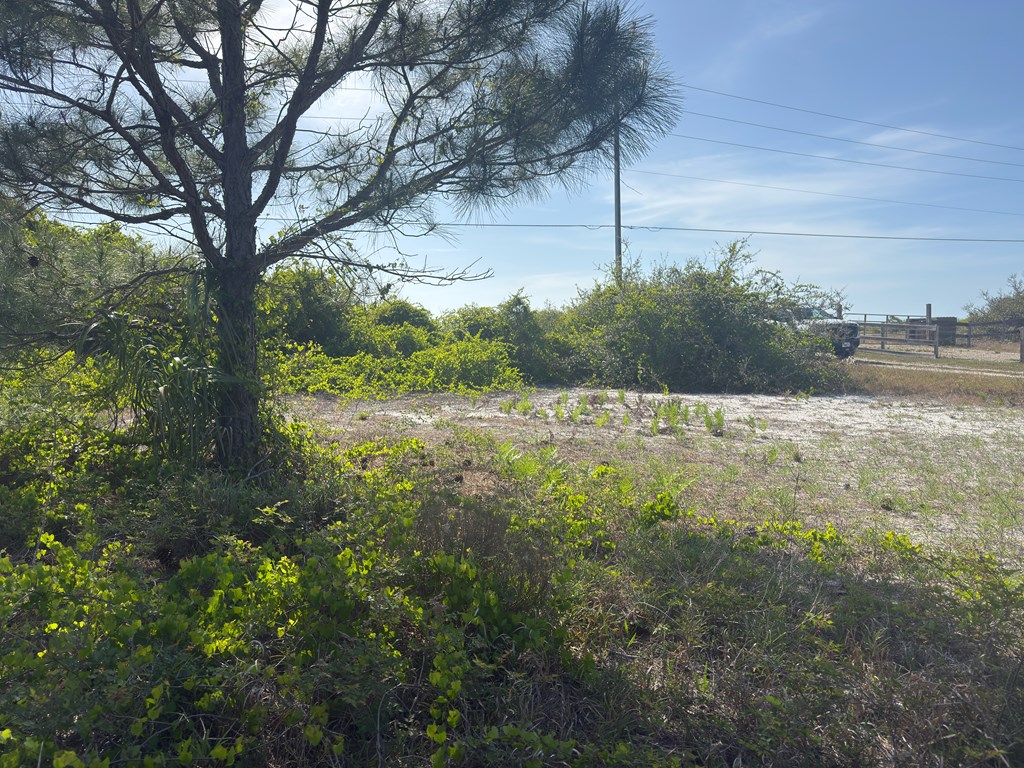 327881 Photo 3