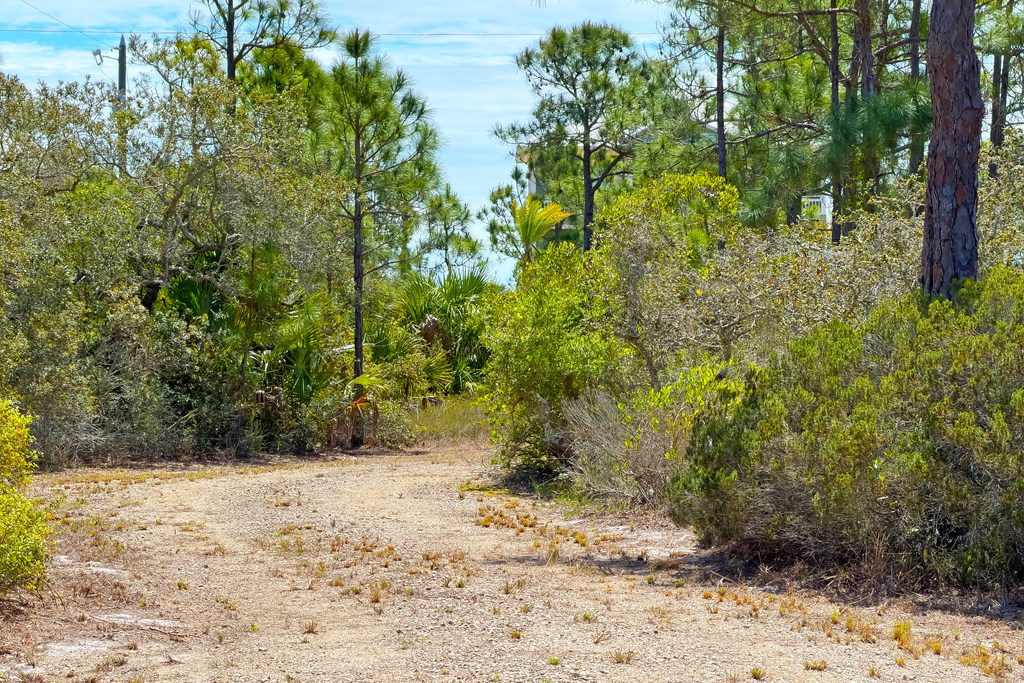 328035 Photo 2