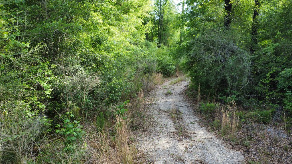 328043 Photo 2