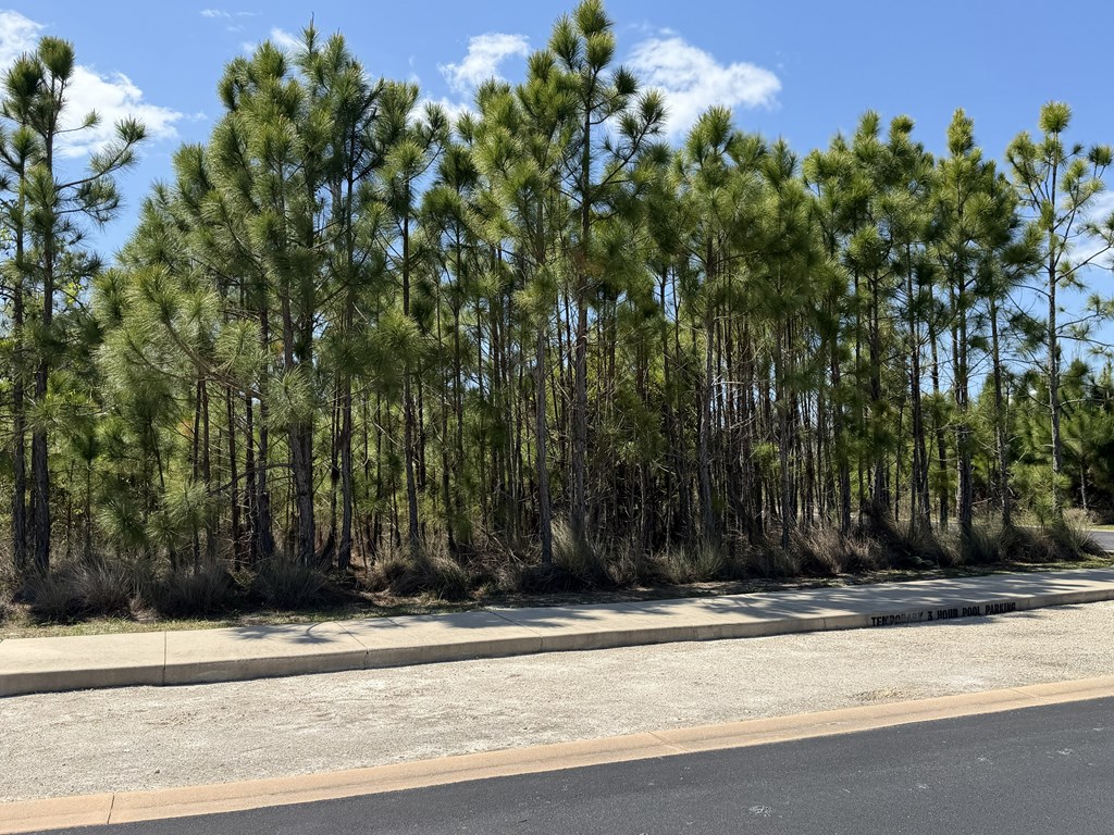 328052 Photo 2