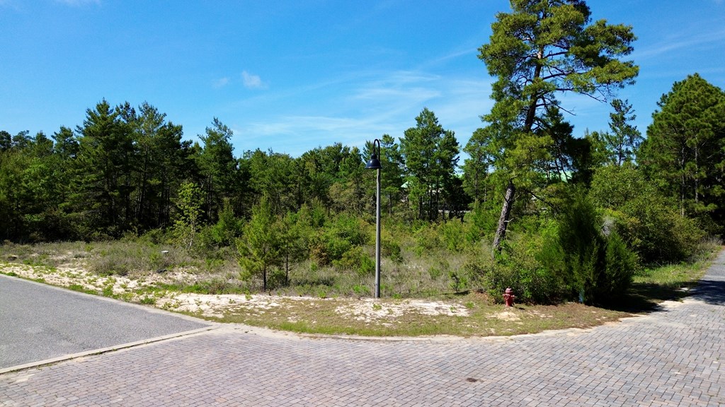 328059 Photo 2