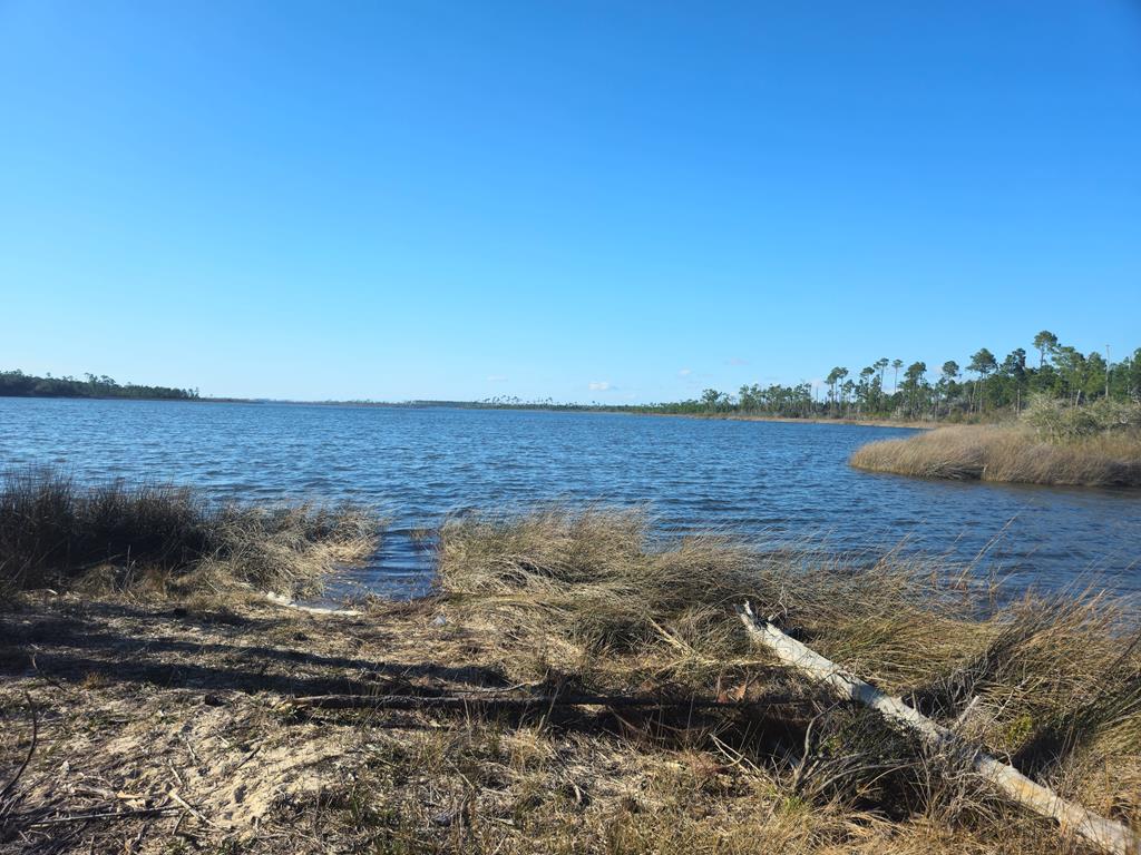 328077 Photo 2