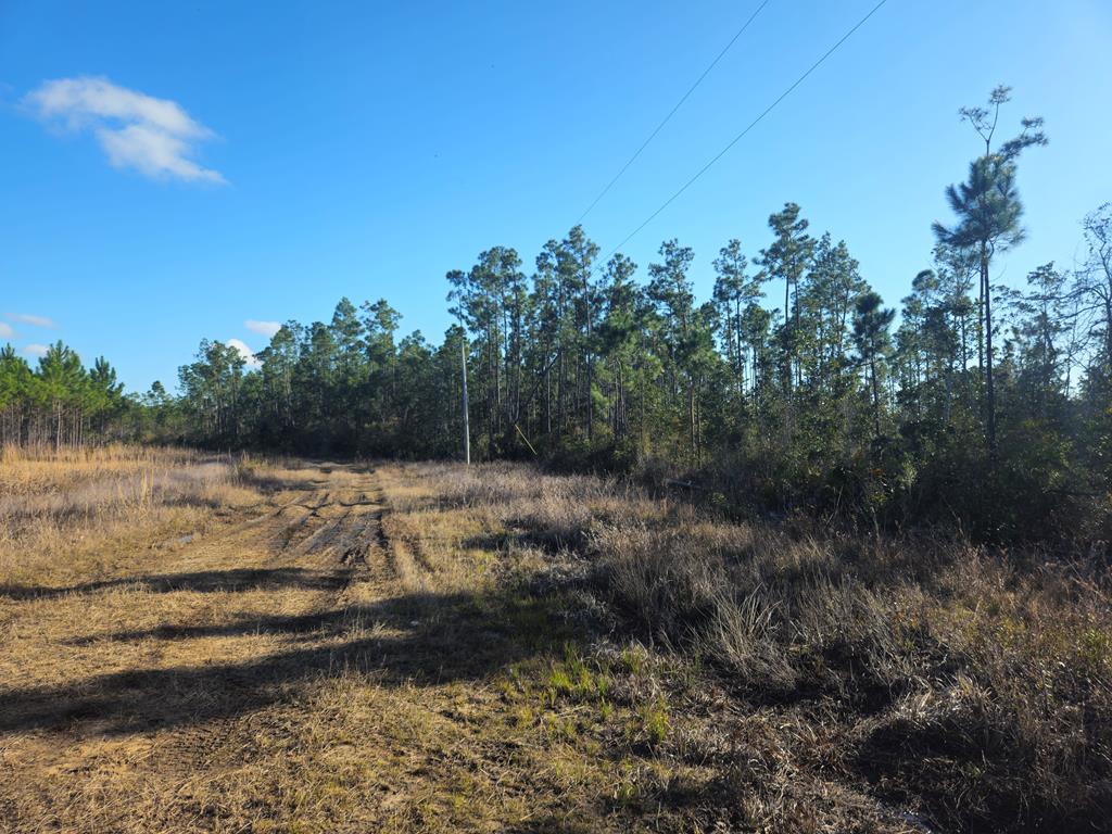 328077 Photo 3