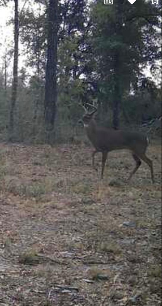 328094 Photo 3