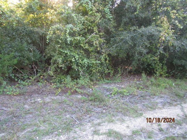 328129 Photo 2