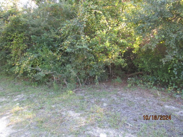 328129 Photo 3