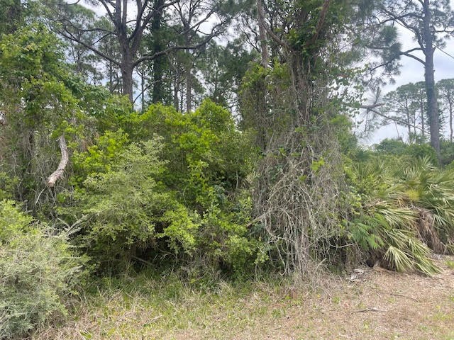 328160 Photo 2