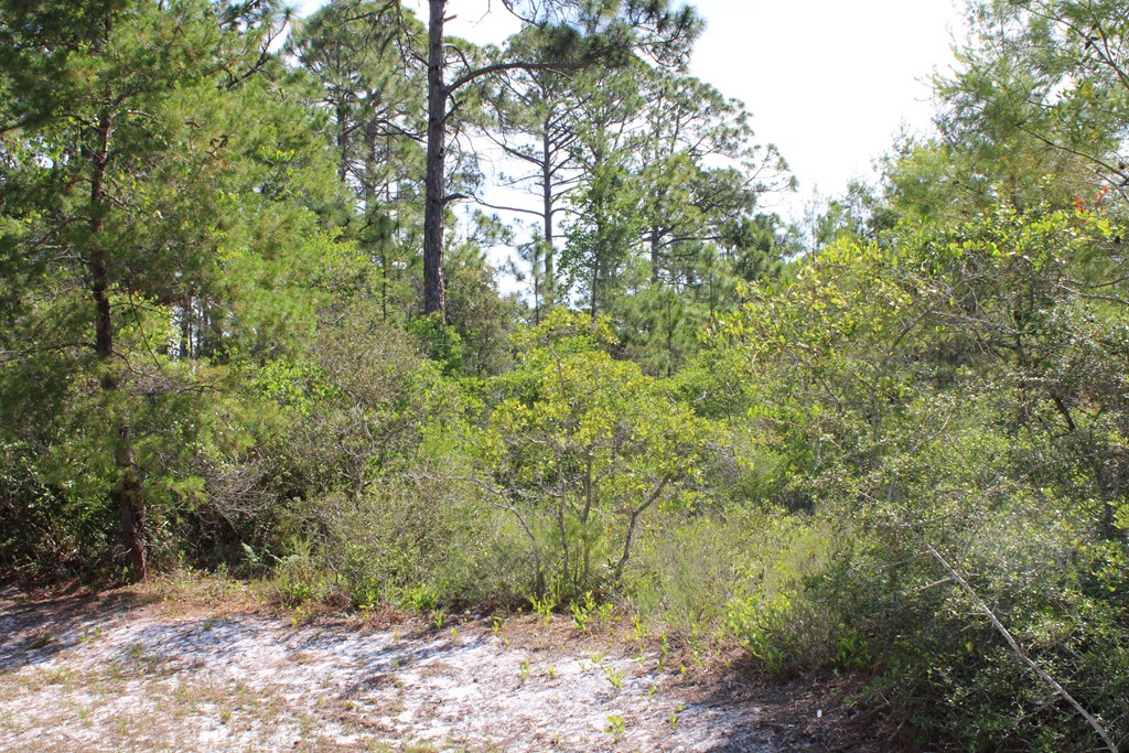 328183 Photo 2