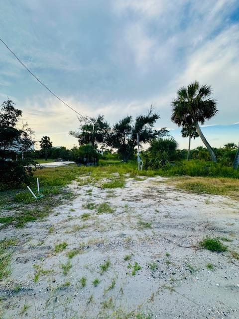 328205 Photo 1