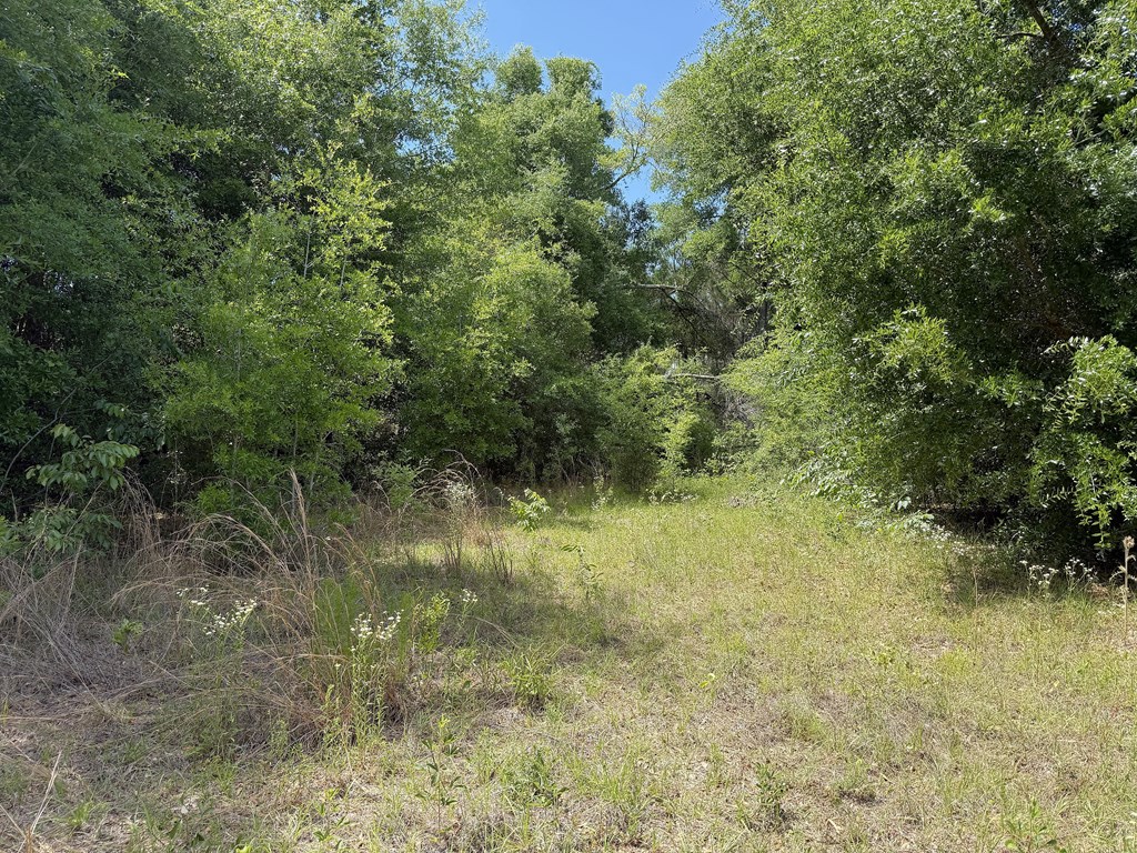 328269 Photo 3