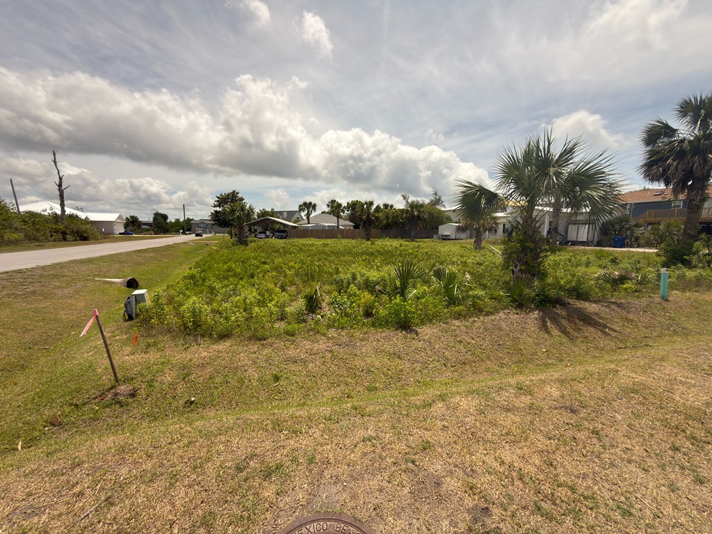 328273 Photo 2