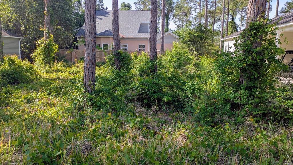 328277 Photo 2