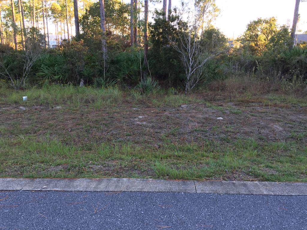 328322 Photo 2