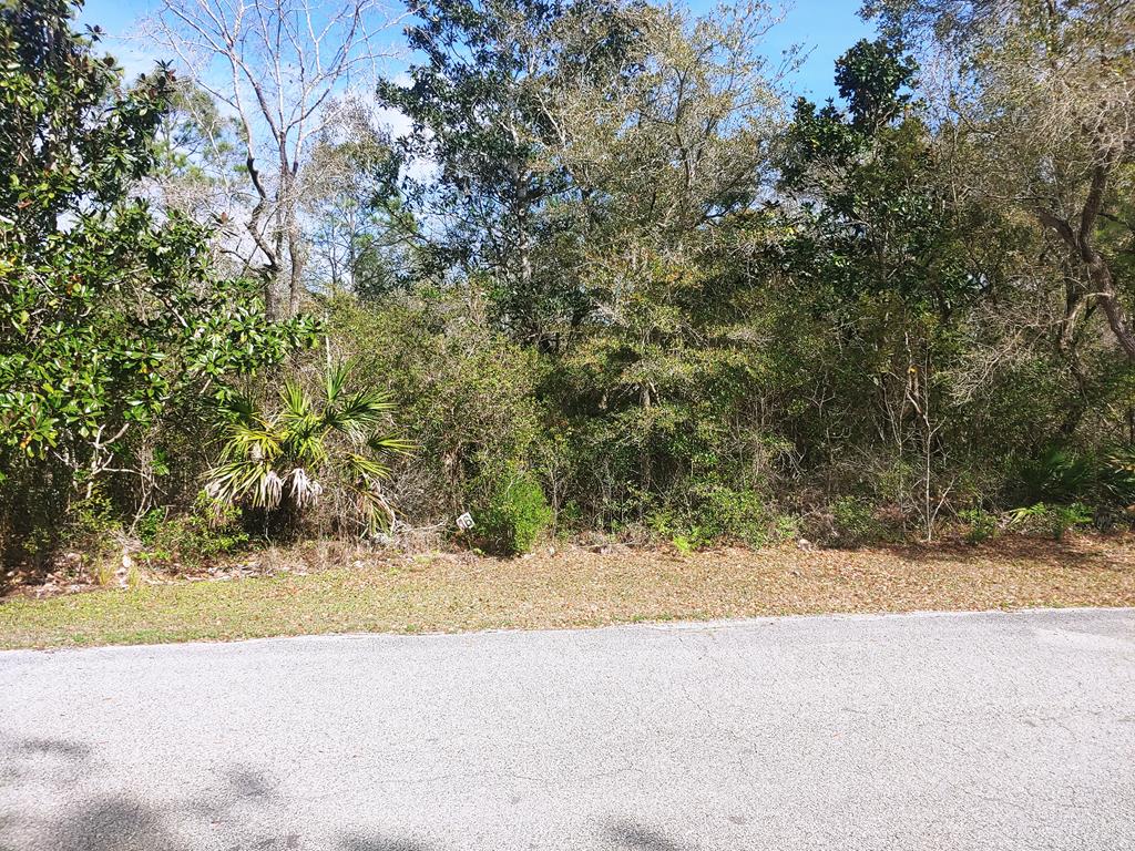 328492 Photo 1