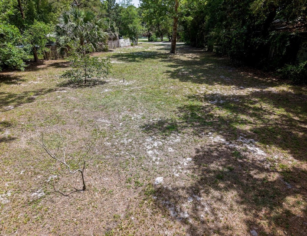 328591 Photo 2