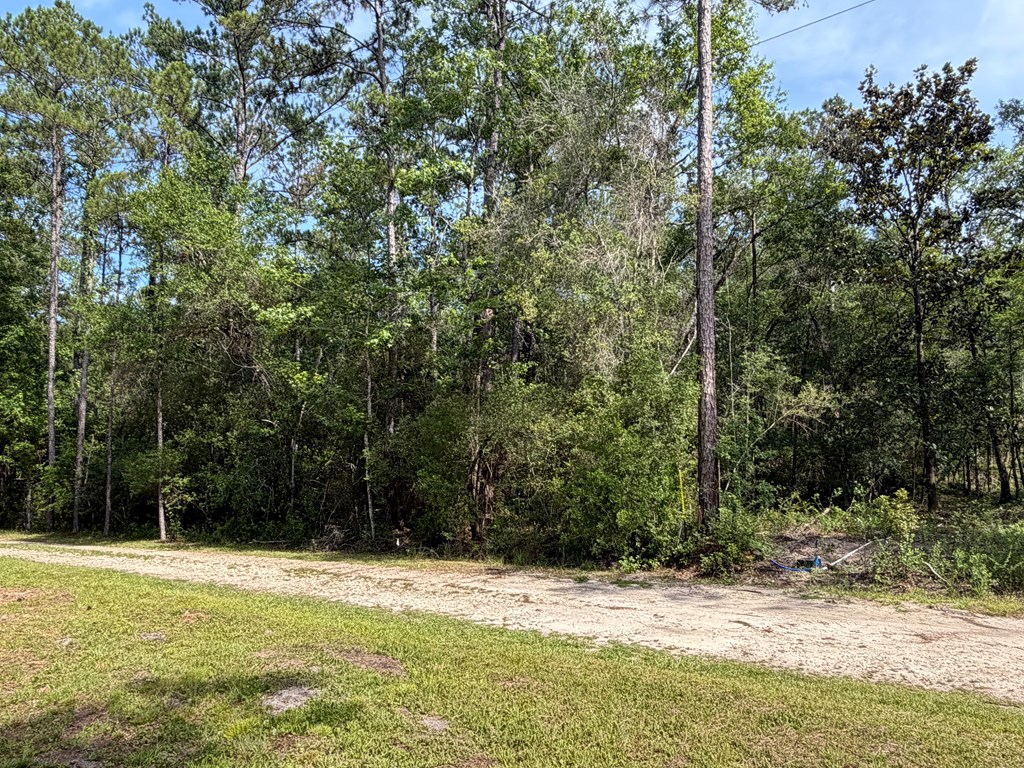 328652 Photo 2
