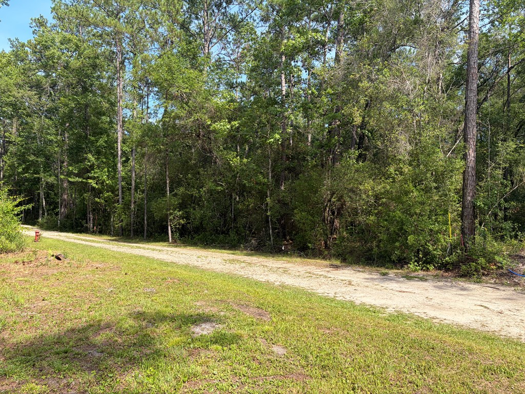 328652 Photo 3
