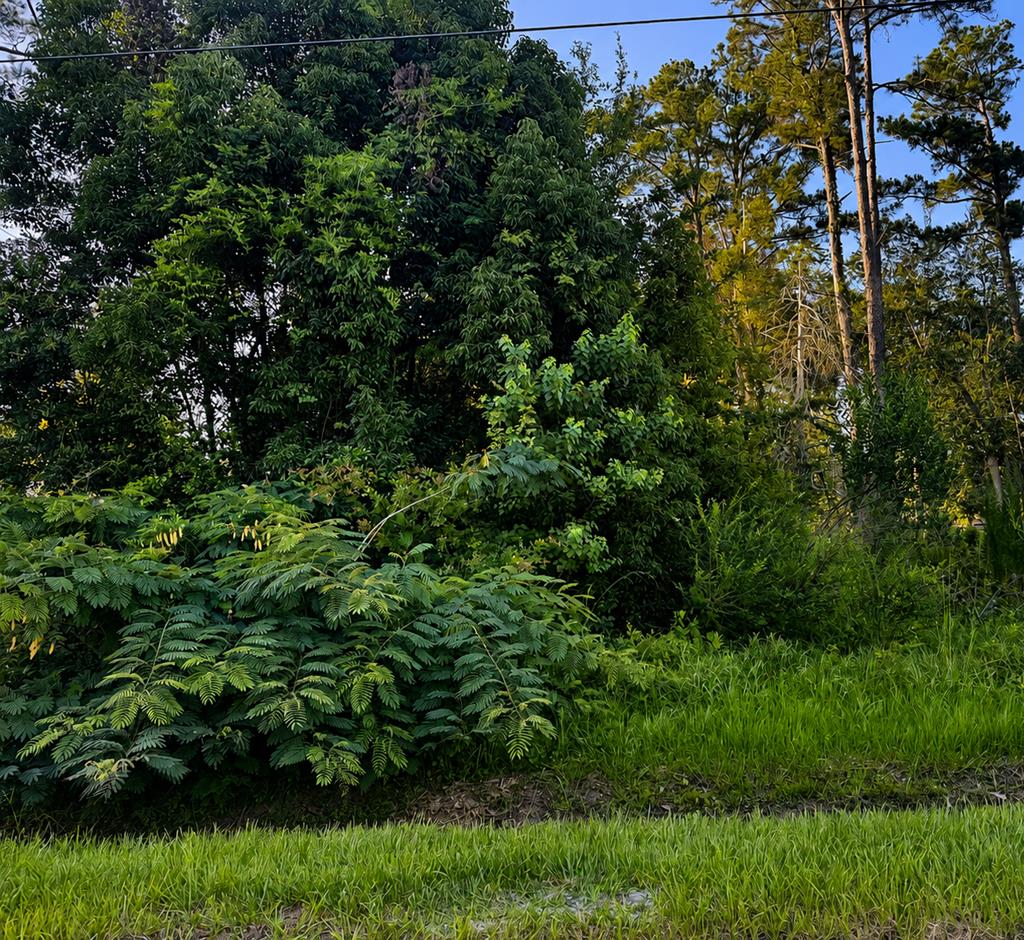 328682 Photo 1
