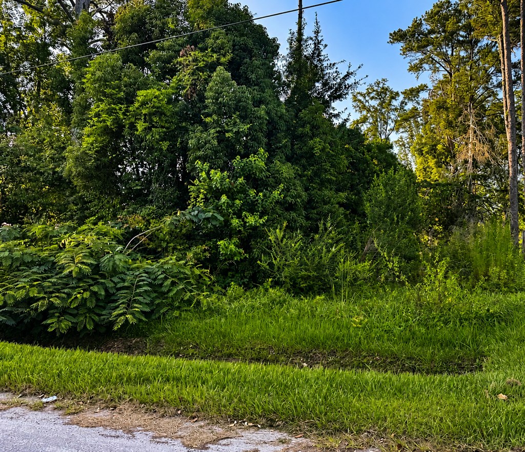 328682 Photo 3
