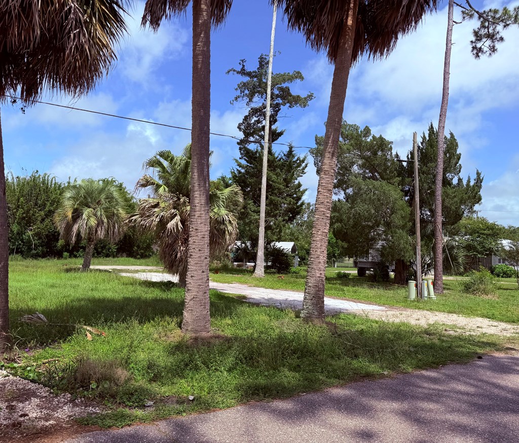 328711 Photo 3
