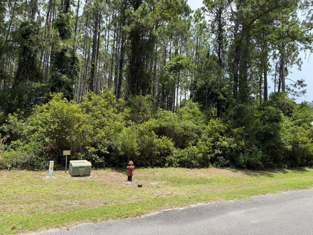 328785 Photo 2