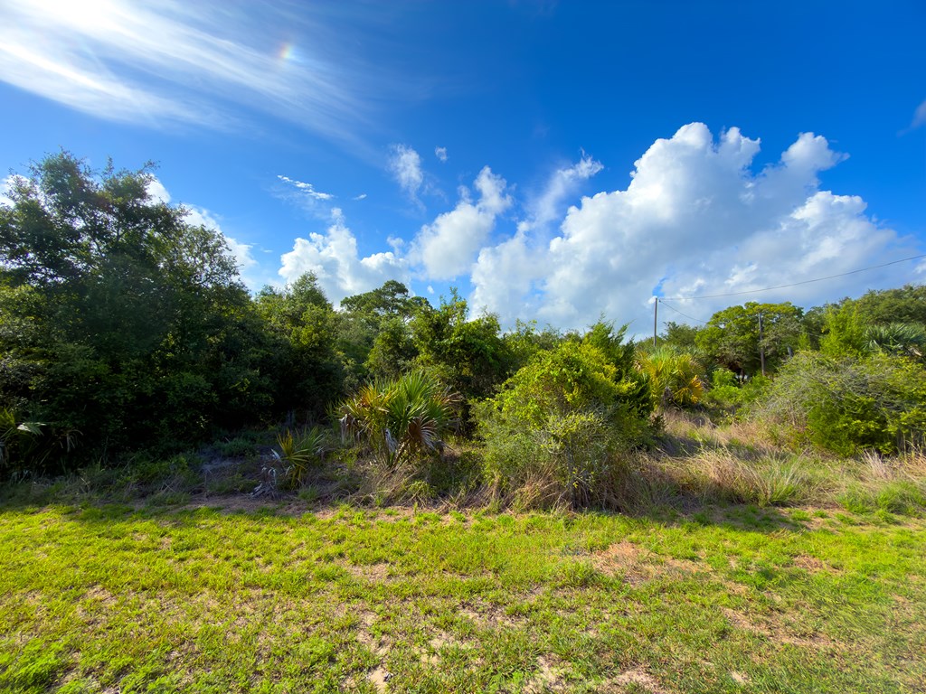 328825 Photo 3