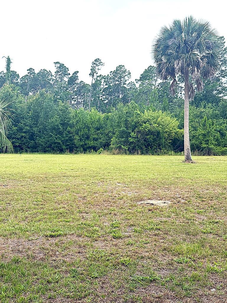 328841 Photo 1