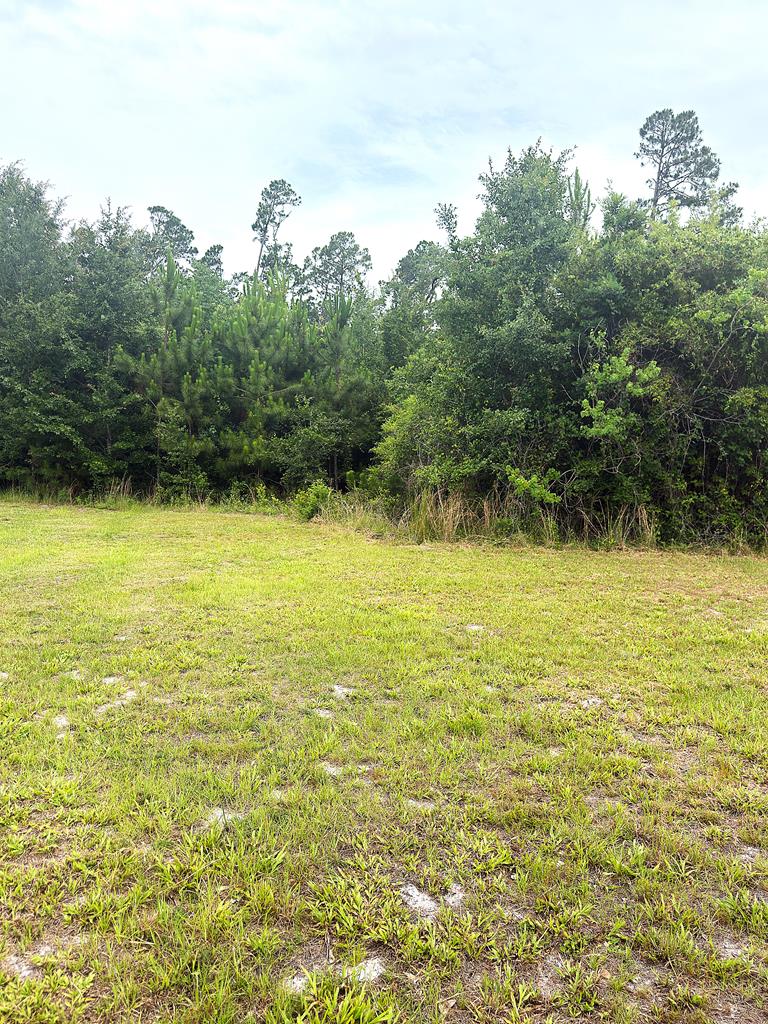 328841 Photo 2