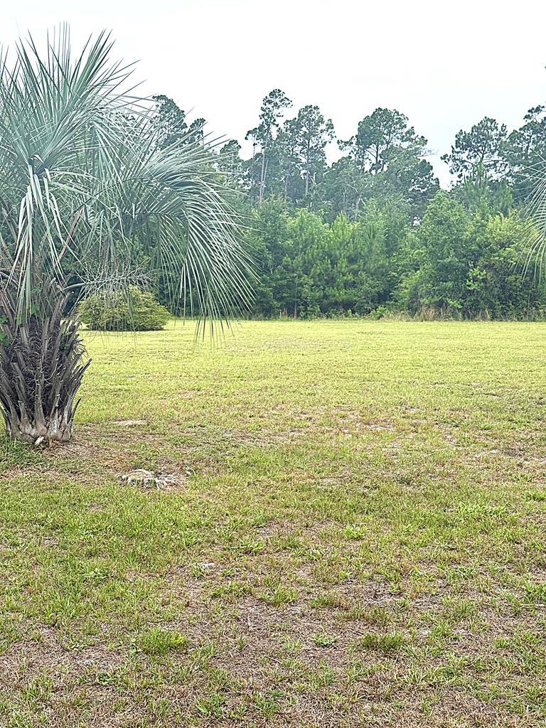 328842 Photo 1