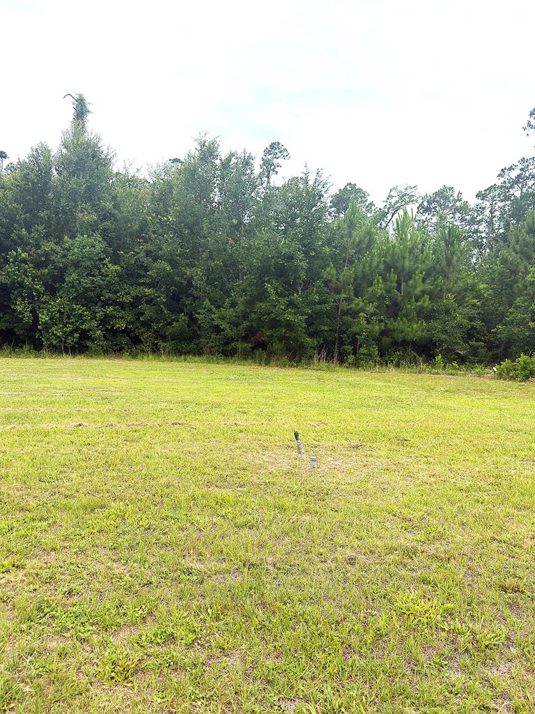328842 Photo 2