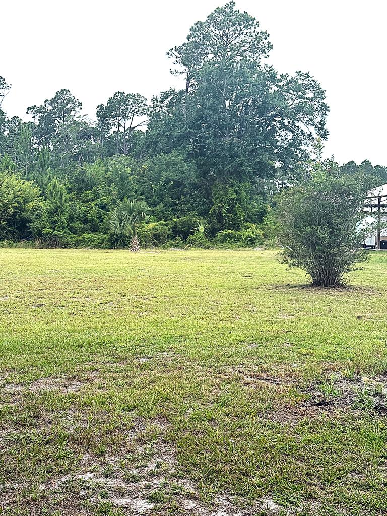 328843 Photo 2