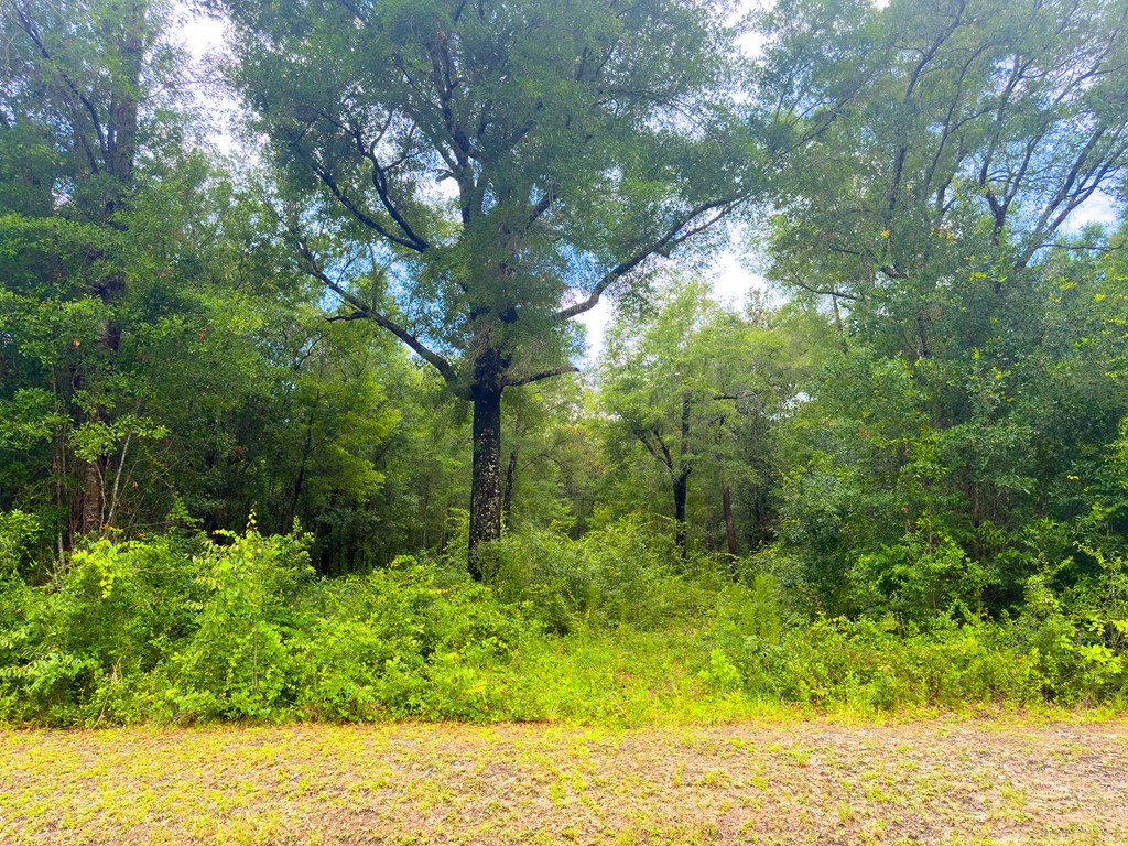 328888 Photo 2