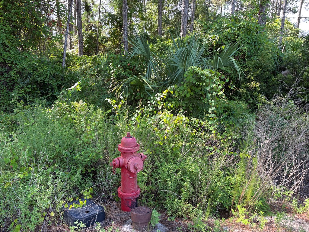 328940 Photo 2