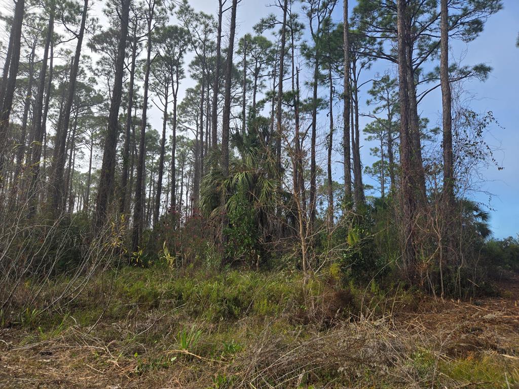 329046 Photo 1