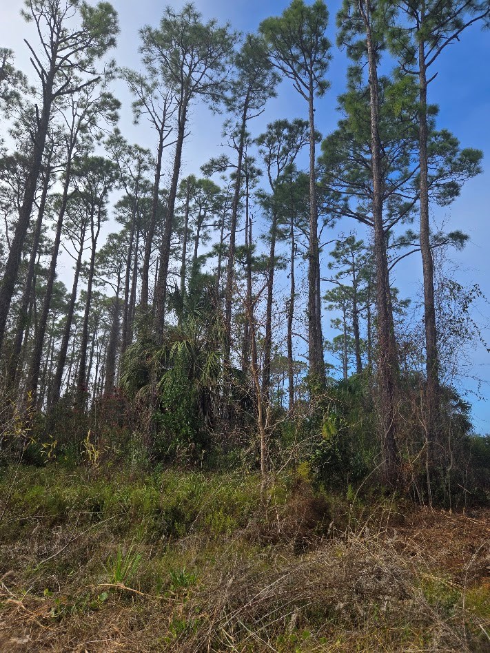 329046 Photo 3