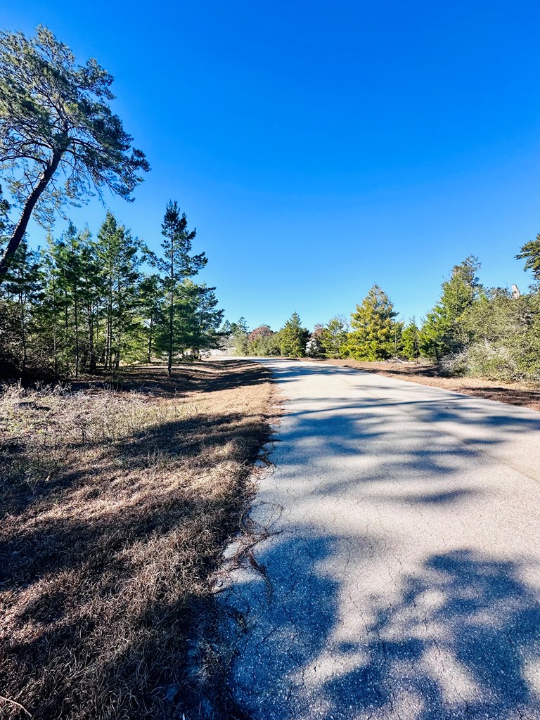 329056 Photo 2