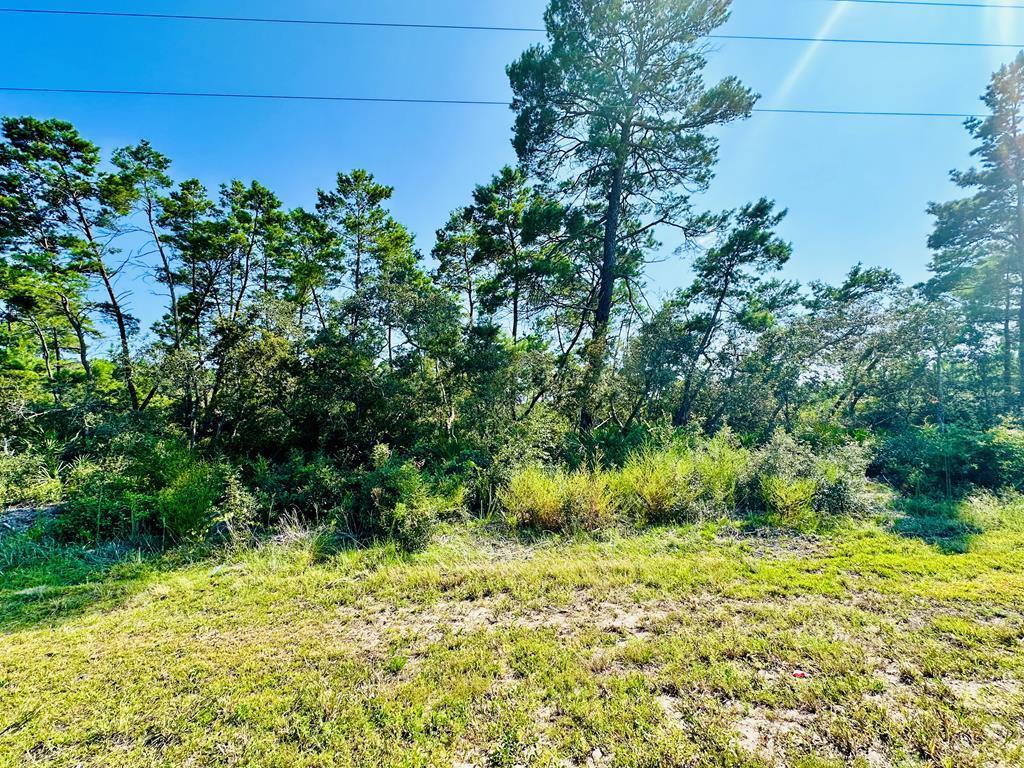 329061 Photo 2