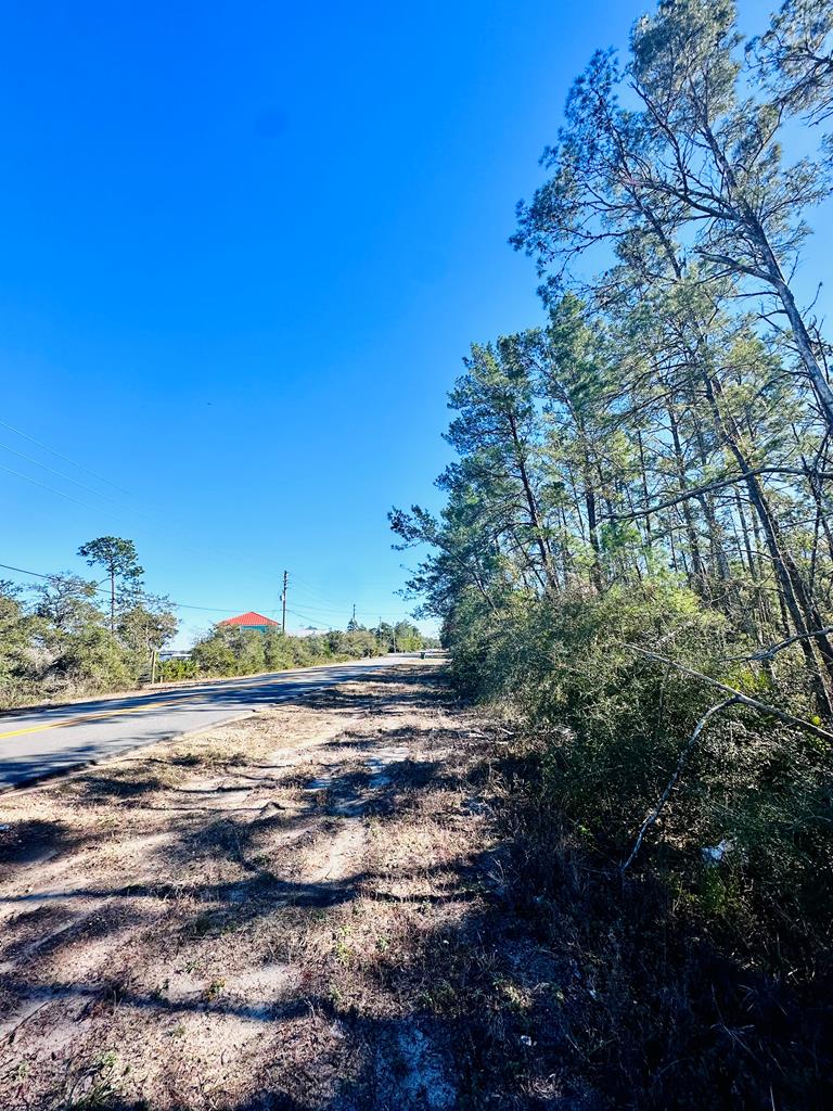 329063 Photo 2