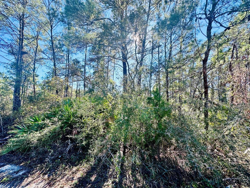 329063 Photo 3