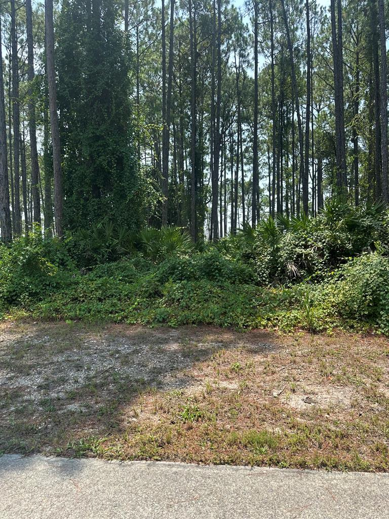 329079 Photo 1