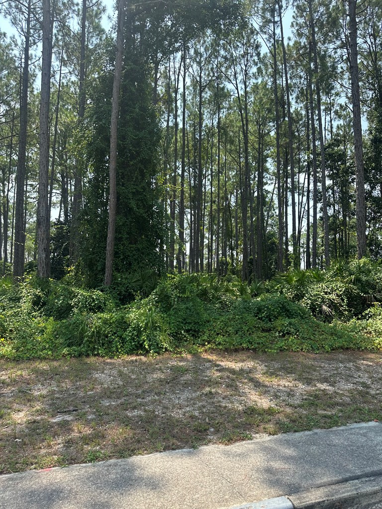329079 Photo 3