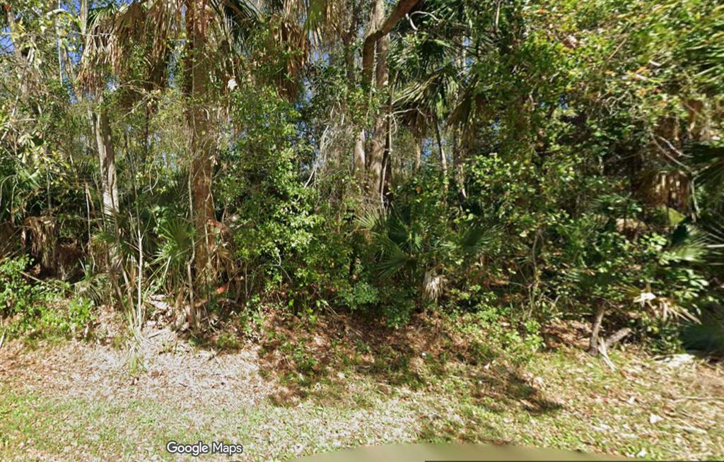329083 Photo 1