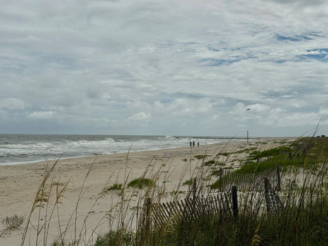 329087 Photo 3
