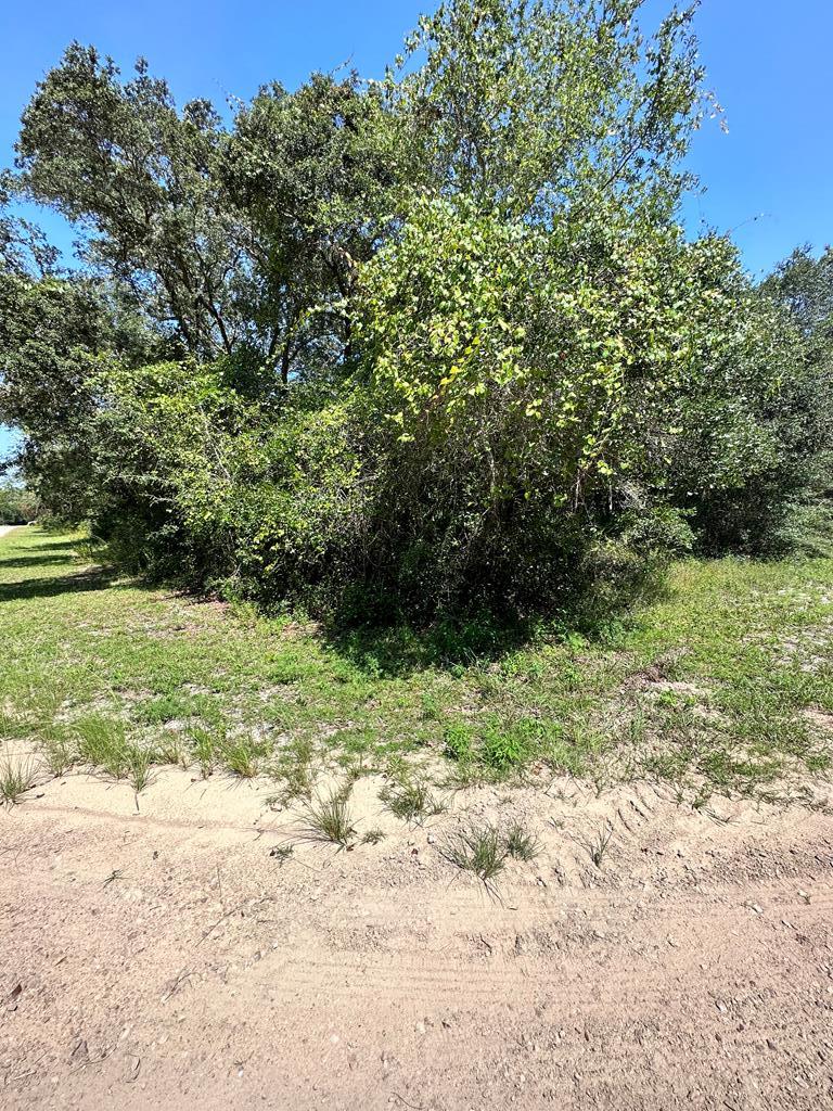 329108 Photo 3