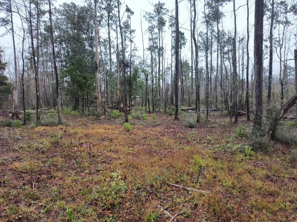 329128 Photo 3