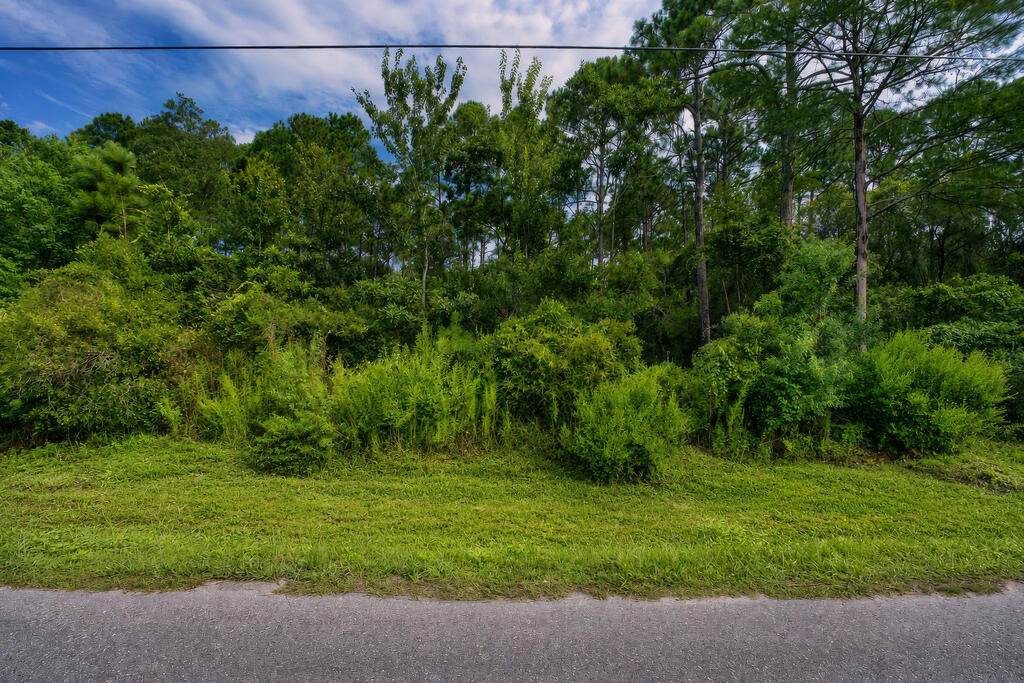329139 Photo 1