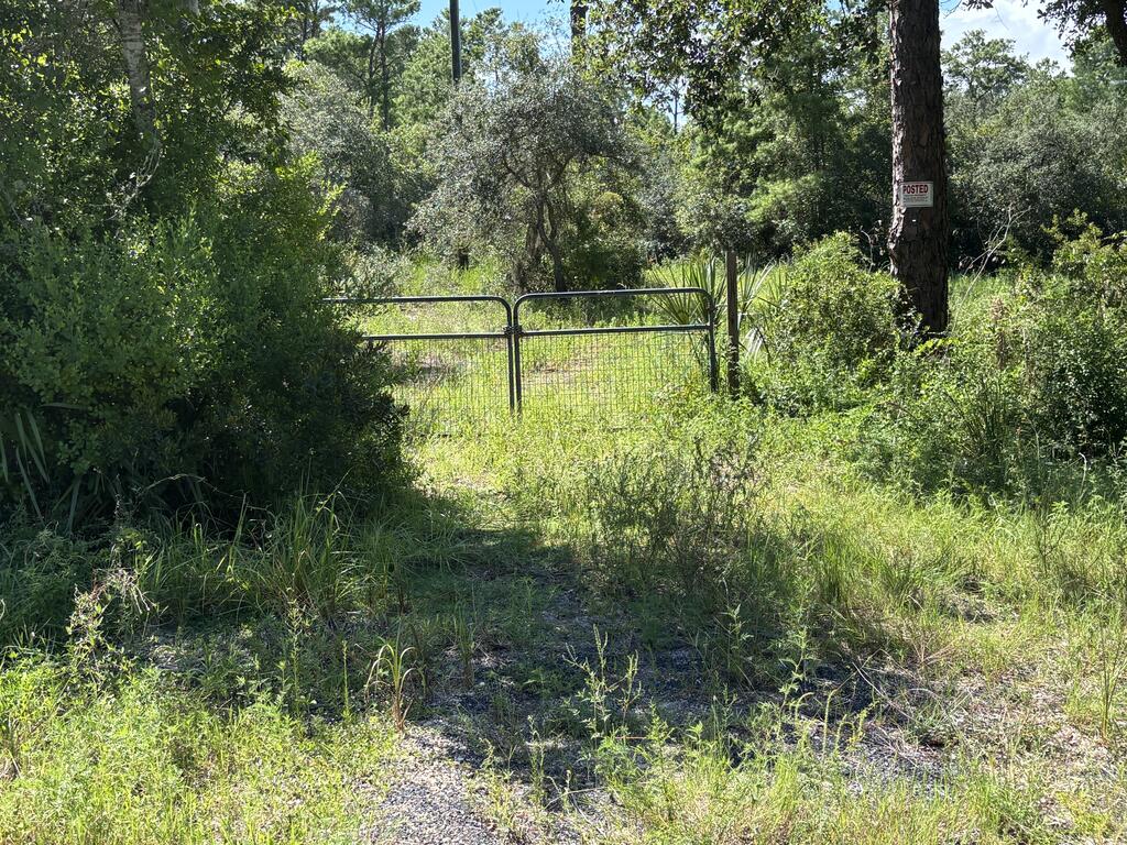 329170 Photo 2